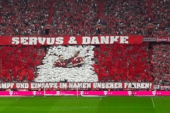 05-Stadion